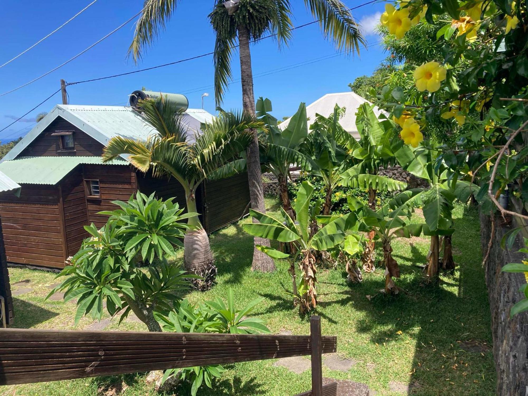 Les Bungalows Les Vanilliers, Sud Sauvage Avec Piscine Saint-Joseph Kültér fotó