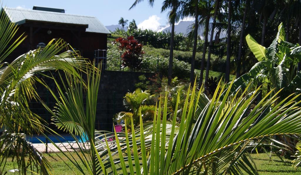 Les Bungalows Les Vanilliers, Sud Sauvage Avec Piscine Saint-Joseph Kültér fotó